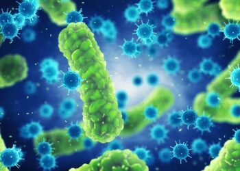 RushNet, Inc. (OTC: RSHN) is quickly becoming one of the OTC’s hottest stocks